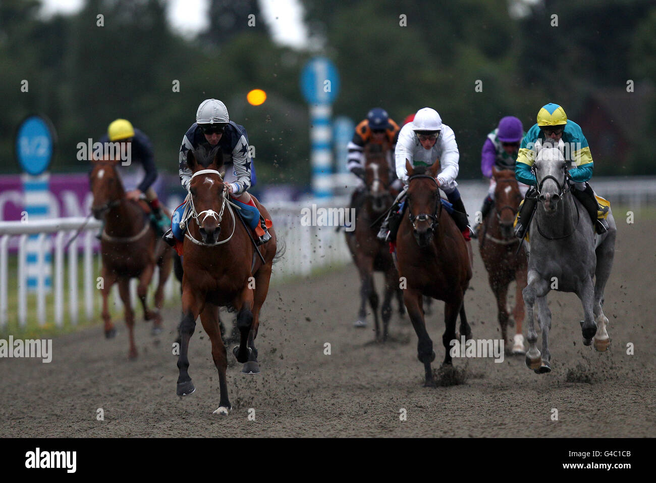 Jockey Martin Dwyer on Ivan Vasilevich (2nd right) comes home ahead of ...