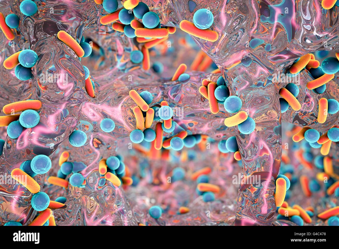 Rod-shaped bacteria inside biofilm, illustration. A biofilm is a colony of bacteria that forms a coating on a surface. Common places for biofilms to develop are in the mouth, where they can cause tooth cavities and gum disease, on contact lenses, where they can cause eye infections, on rocks submerged in water, and on industrial equipment, where they can cause fouling. Stock Photo