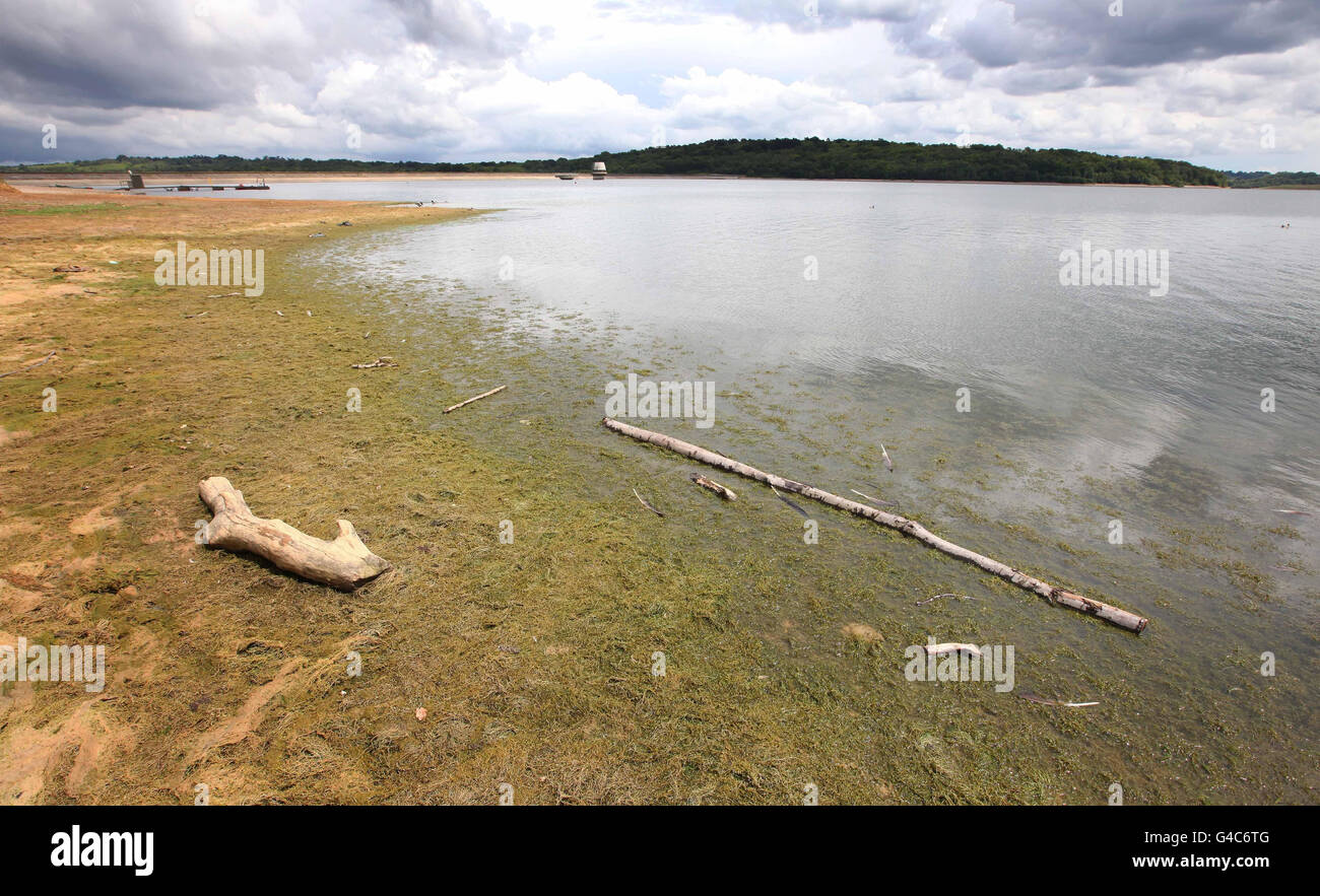 Drought grips parts of UK Stock Photo Alamy
