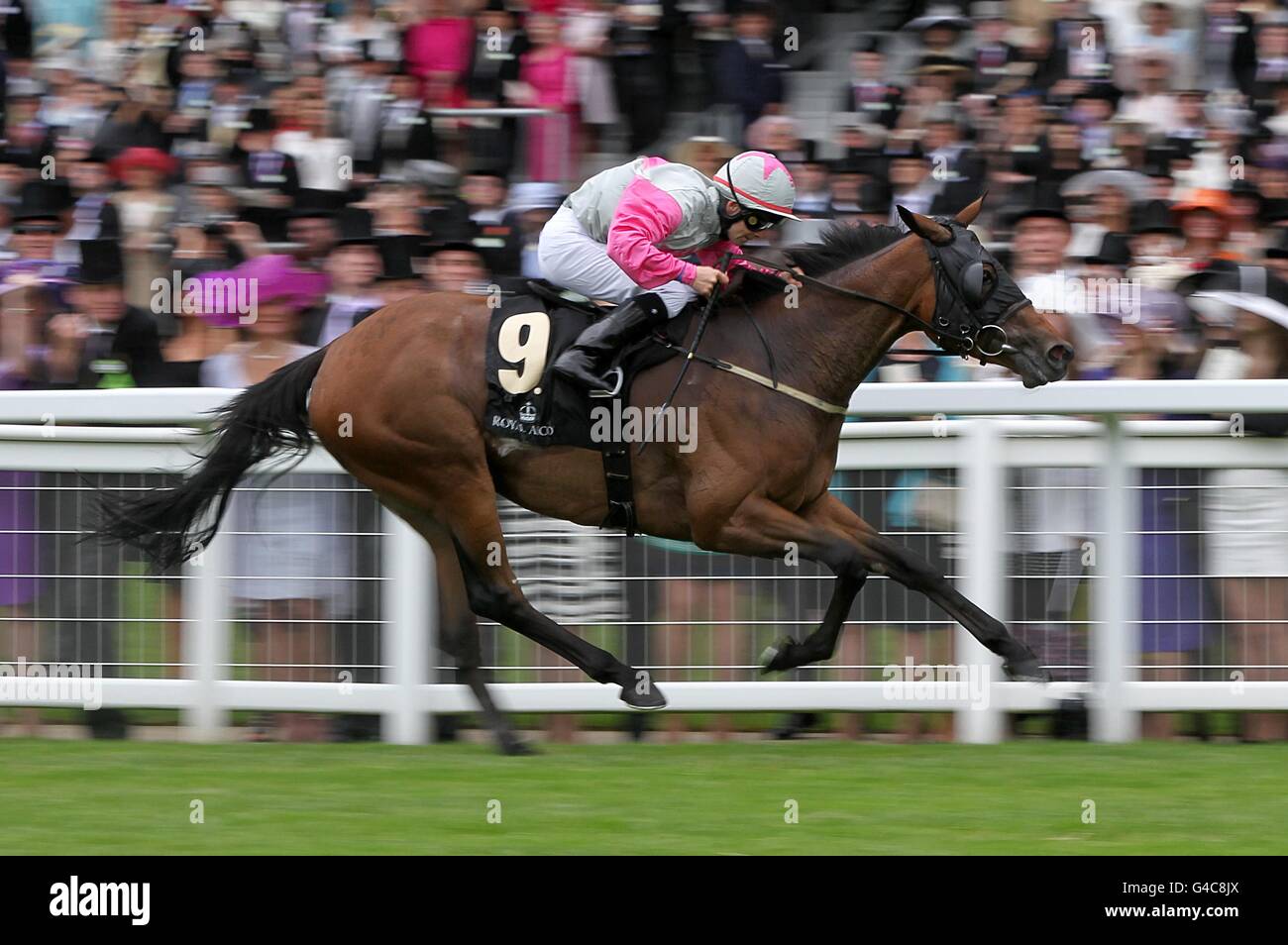 конные фермы хорватия. нижняя нормандия лошадиные фермы. достоинство лошади. очень красивые лошади. красная машина с конем прикол.