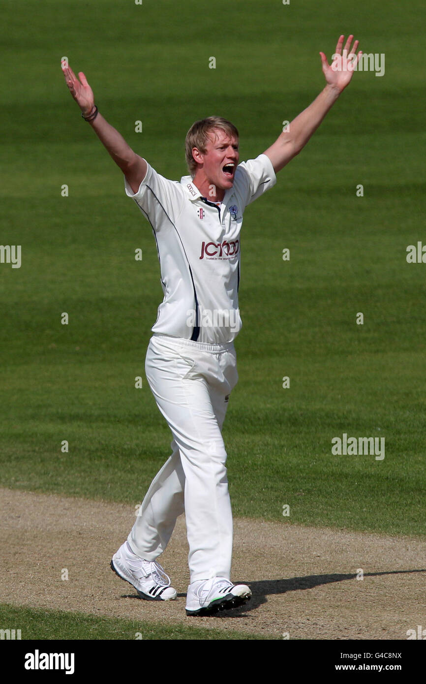 Cricket - Liverpool Victoria County Championship - Division One - Day Three - Worcestershire v Yorkshire - New Road Stock Photo