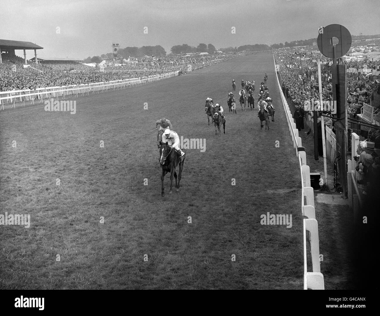 Horse Racing - 1955 Epsom Derby - Epsom Downs Racecourse Stock Photo