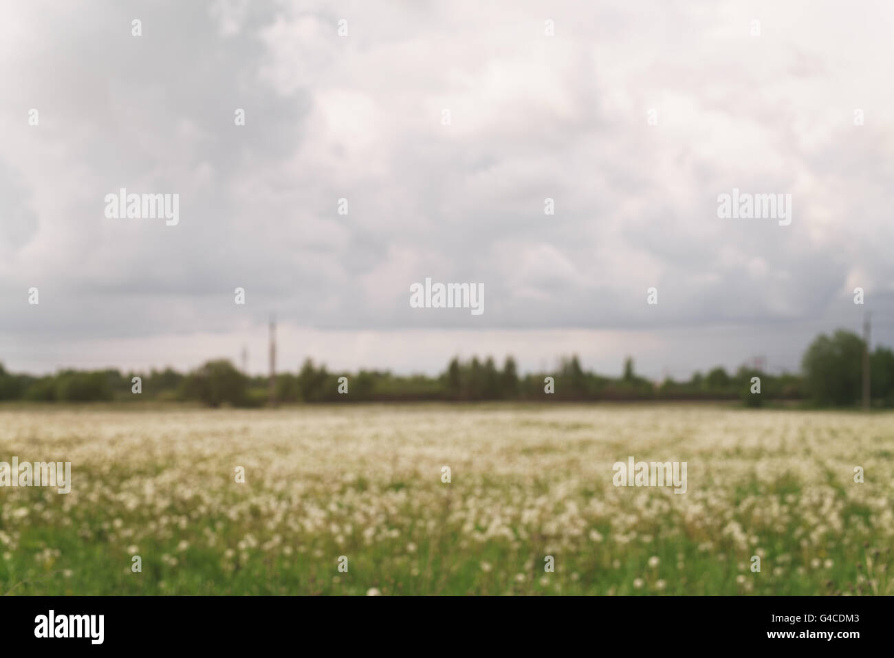 blurred background of rural field Stock Photo