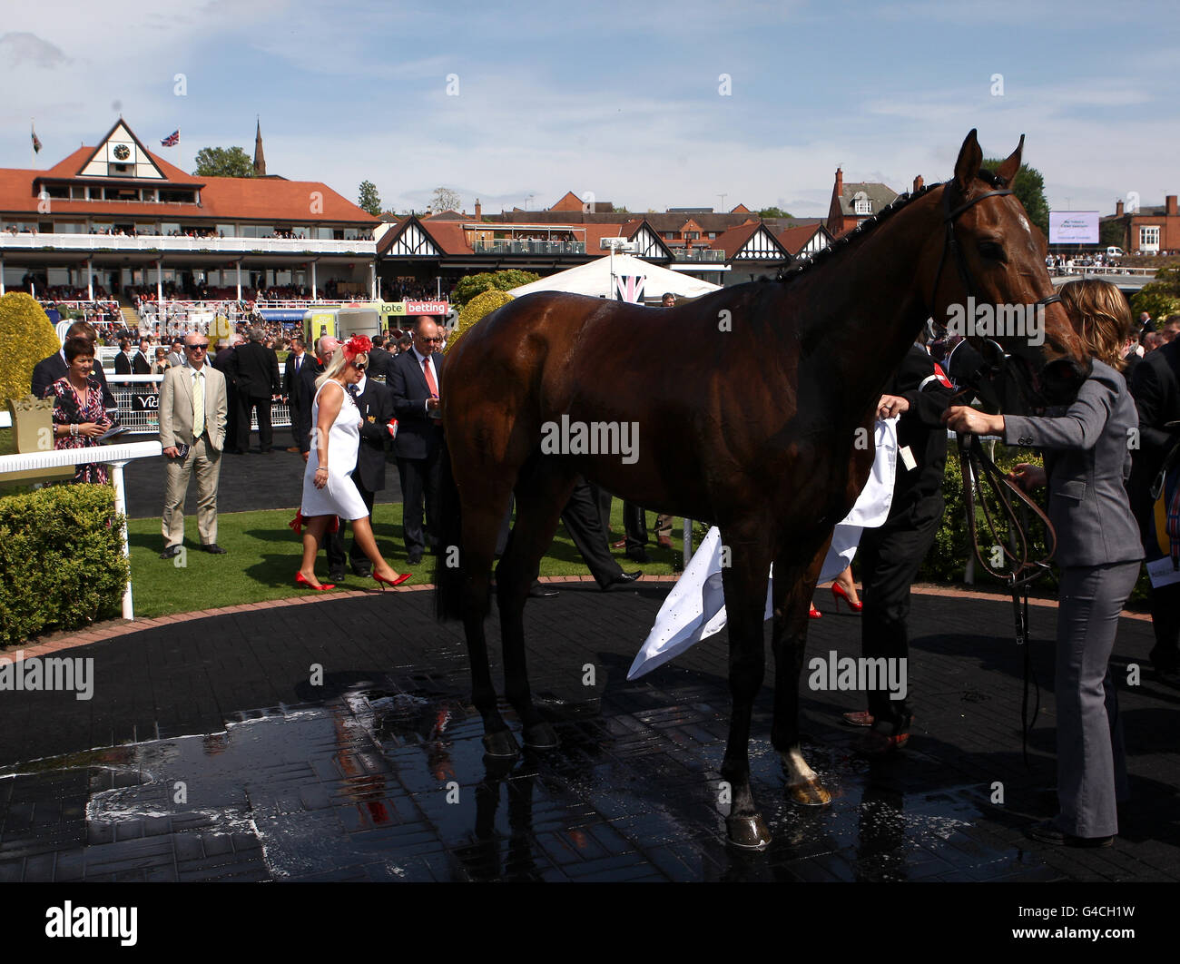 Glen's Diamond after being ridden to victory by Paul Hanagan (not in picture) in the Addleshaw Goddard Dee Stakes Stock Photo