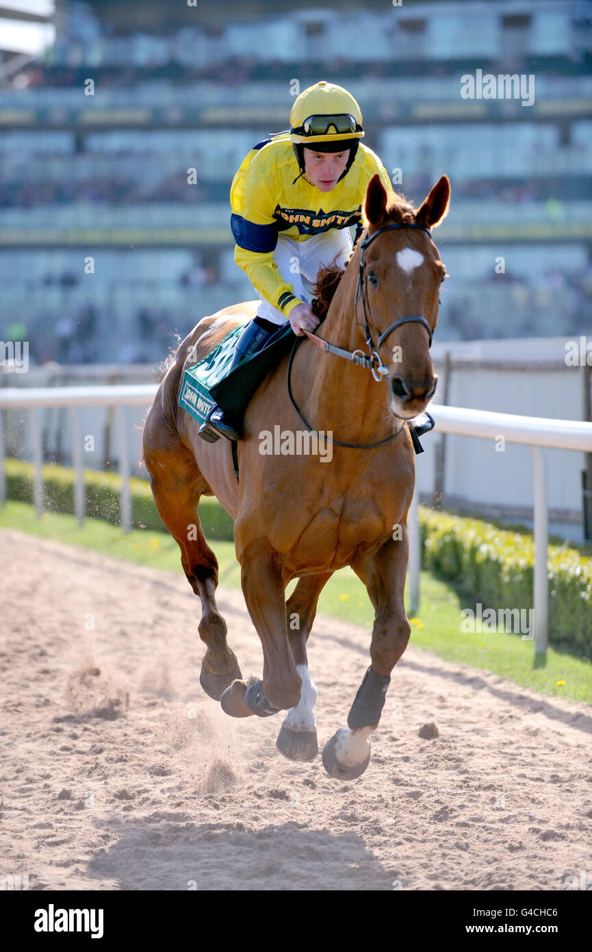 Horse Racing - The 2011 John Smith's Grand National - Day Two - Aintree Racecourse. Bible Lord, ridden by Harry Haynes Stock Photo