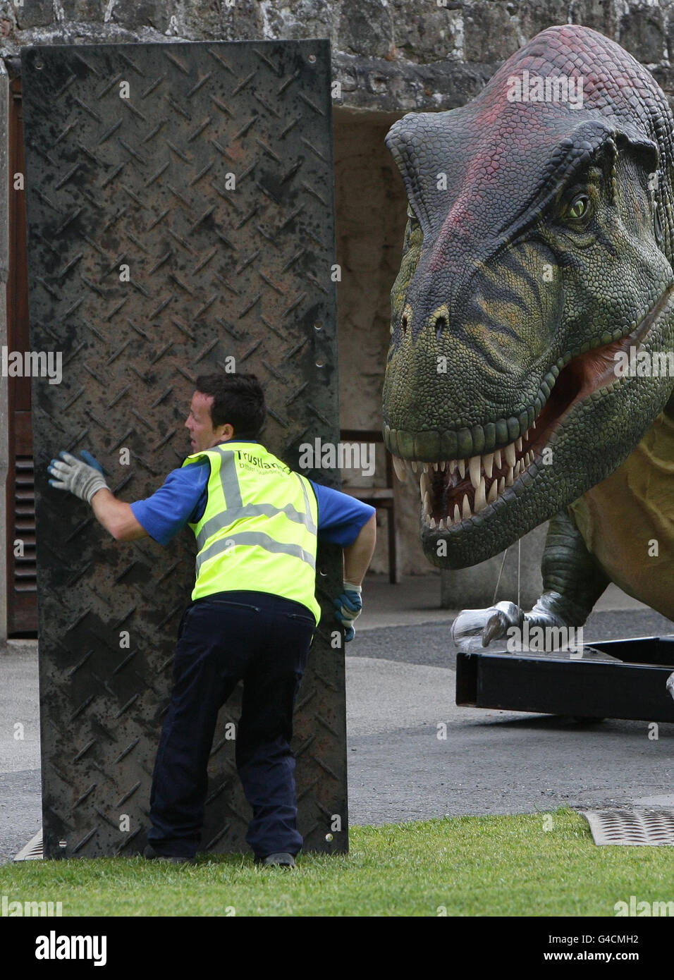 A workman unloads a mechanical tyrannosaurus rex at chester zoo hires