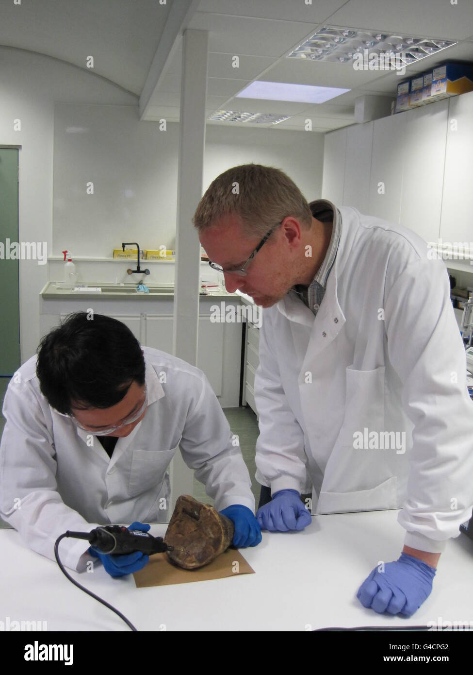 Laboratory animals hires stock photography and images Alamy