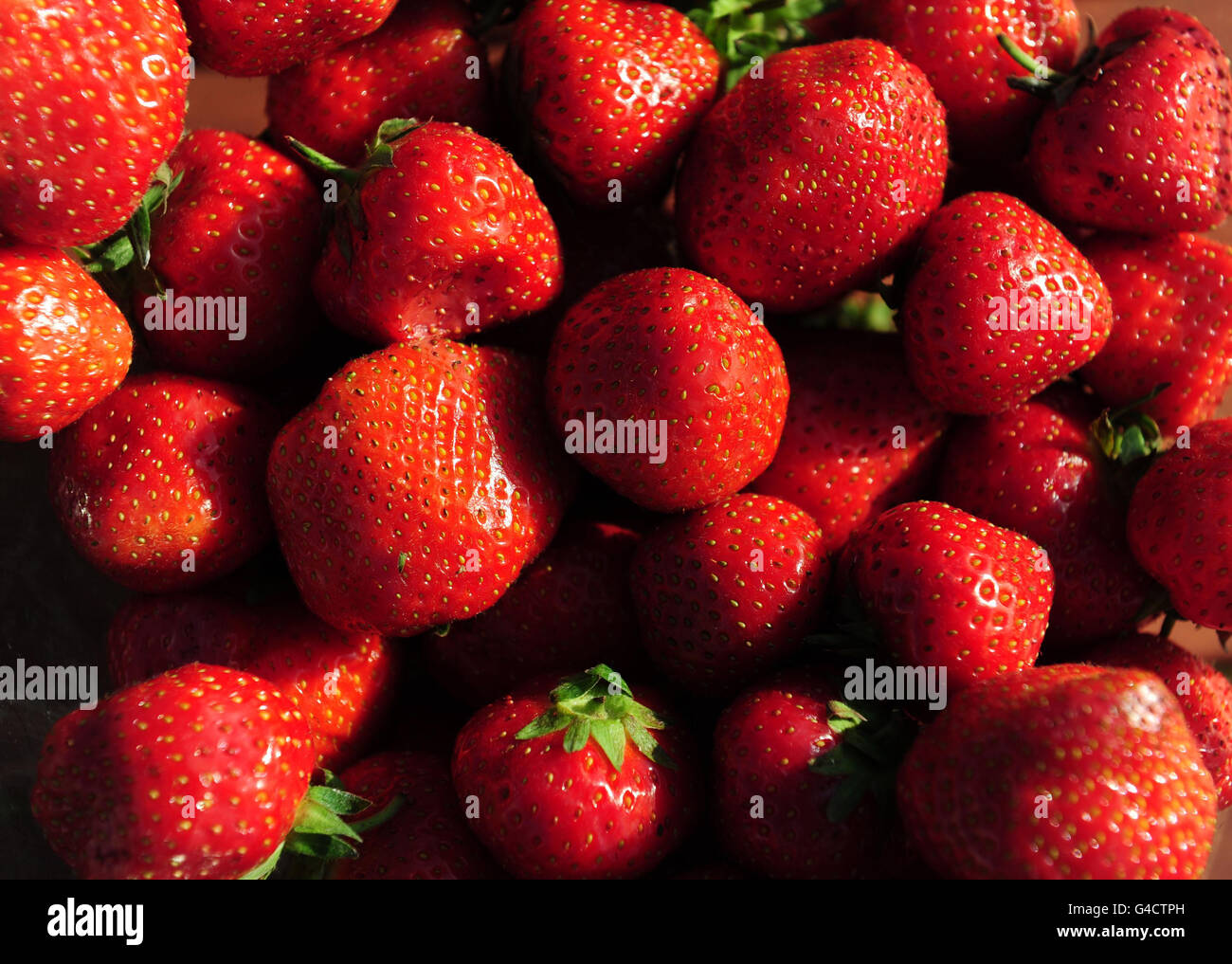 A general view of some Strawberries on day seven of the 2011 Wimbledon Championships at the All England Lawn Tennis Club, Wimbledon. Stock Photo