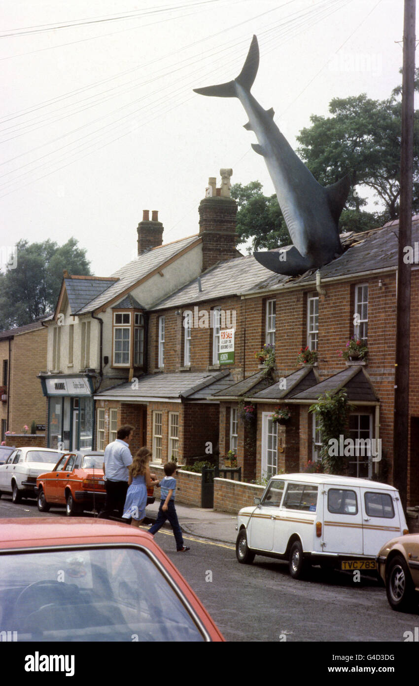 SHARK IN ROOF Stock Photo Alamy