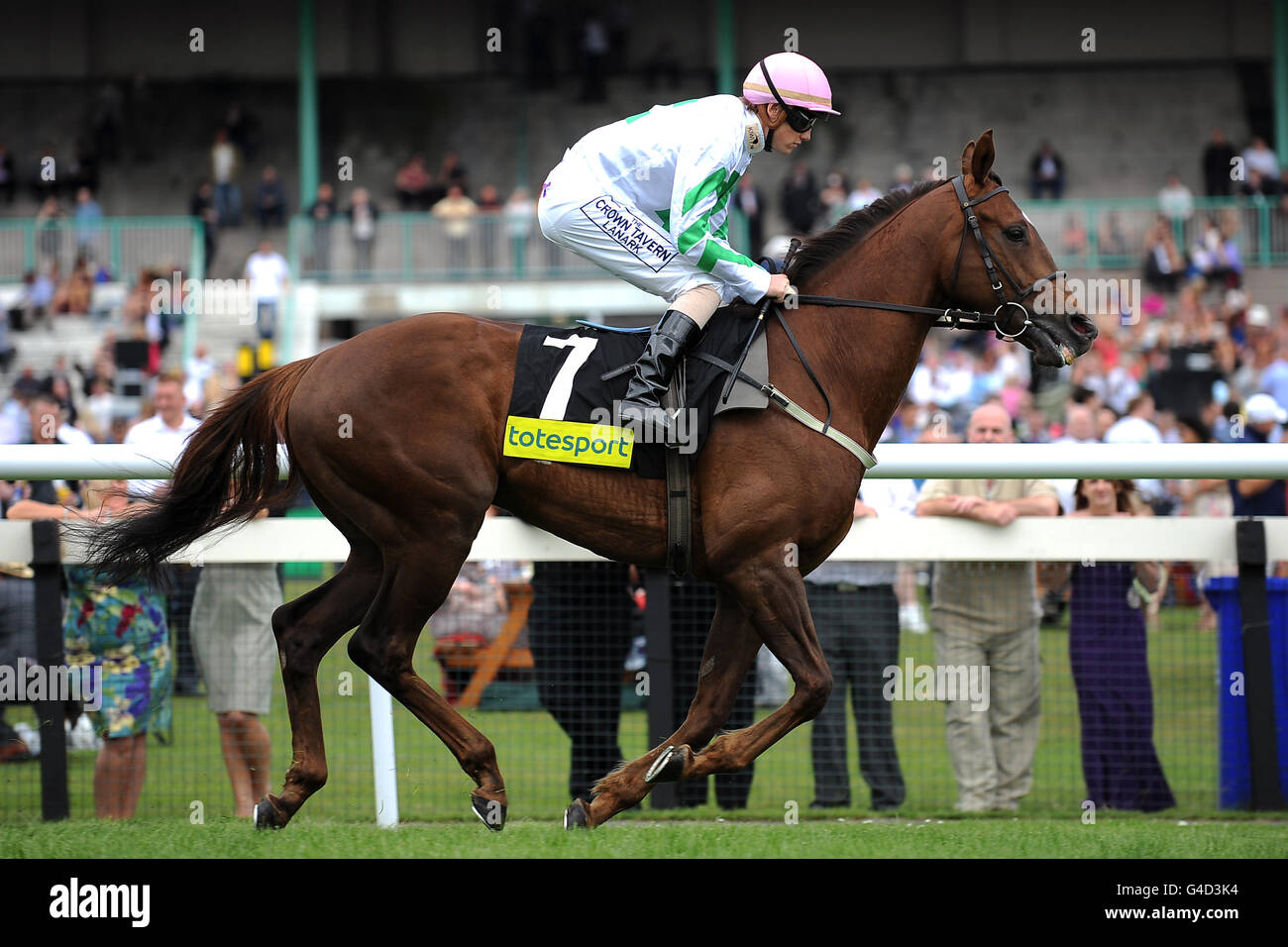 Northumberland plate day newcastle racecourse hi-res stock photography and  images - Page 3 - Alamy