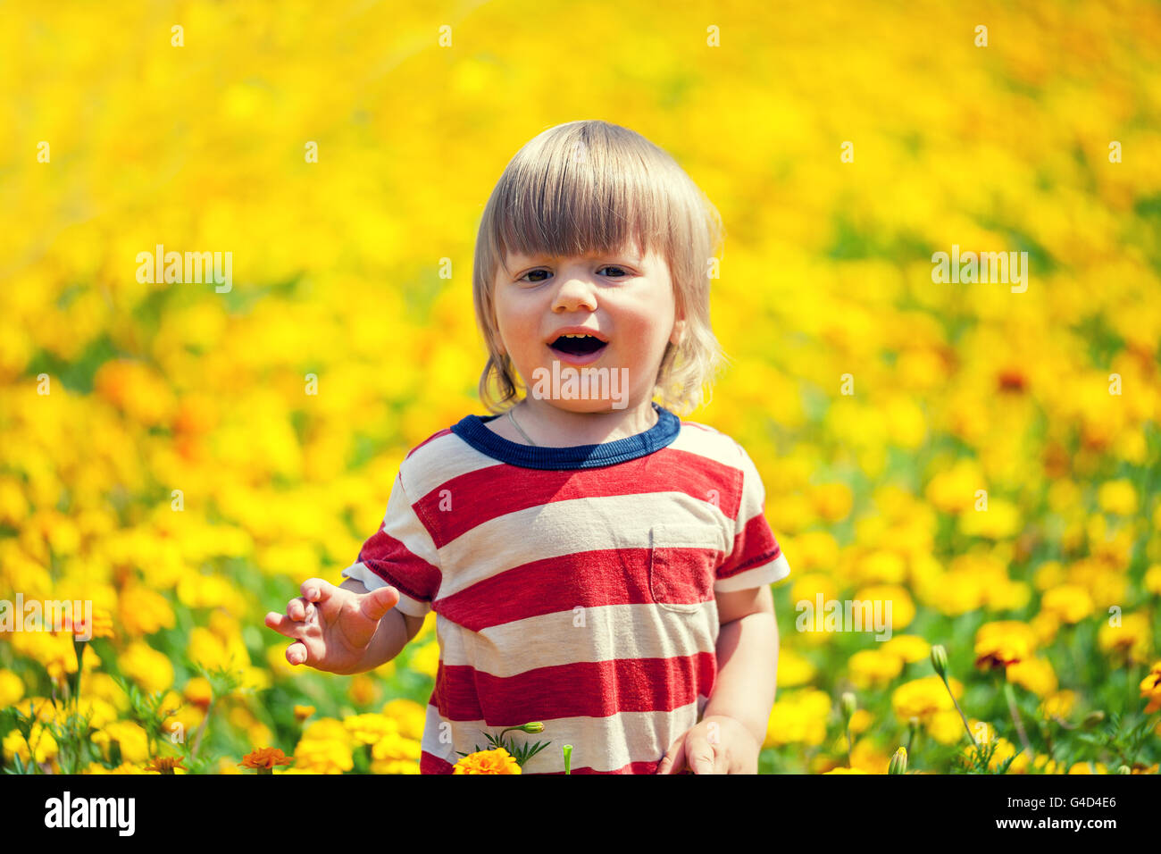 Little boy walking on the flowers lawn Stock Photo - Alamy