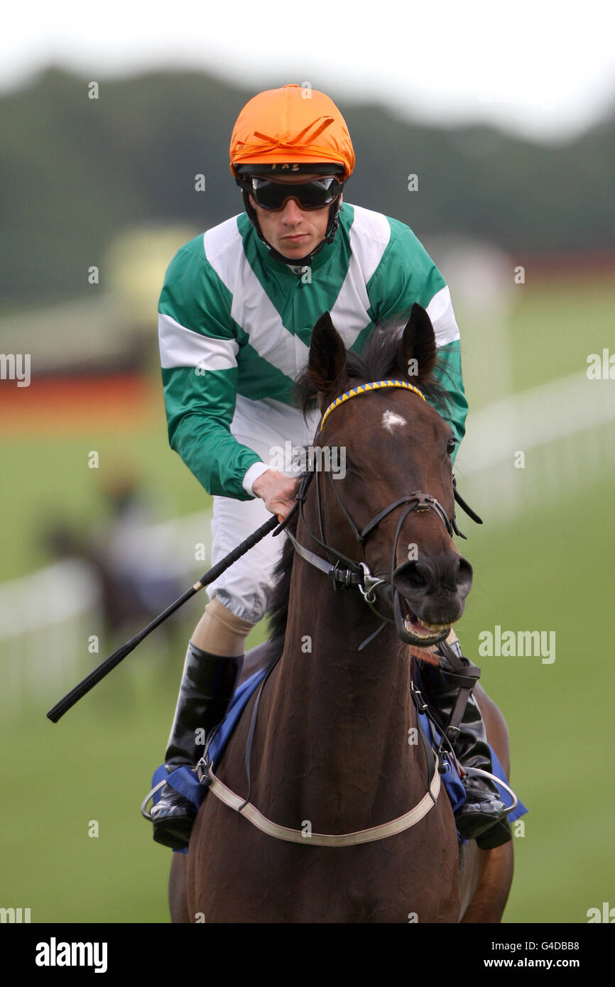 Horse Racing - Summer Race Night - Chepstow Racecourse Stock Photo - Alamy
