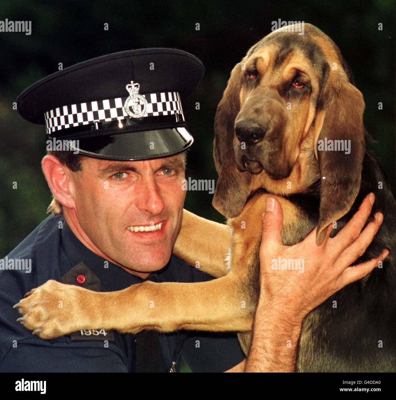 How Do K9 Dogs Track