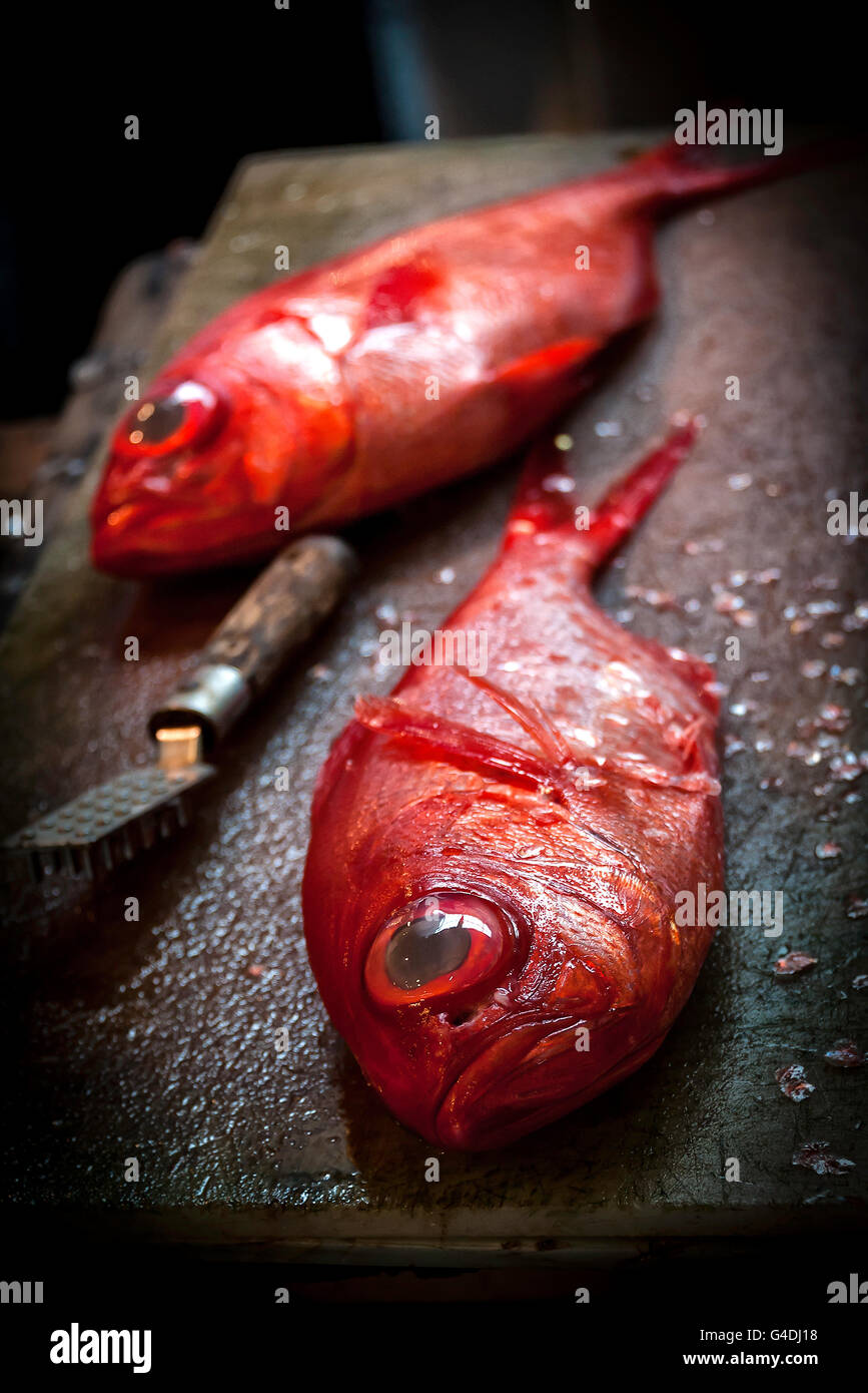 red mullet goat fish Stock Photo