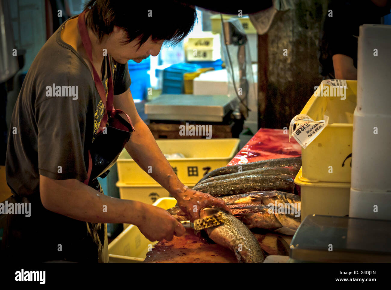 Tsukiji Fish Market in Tokyo Japan Stock Photo Alamy