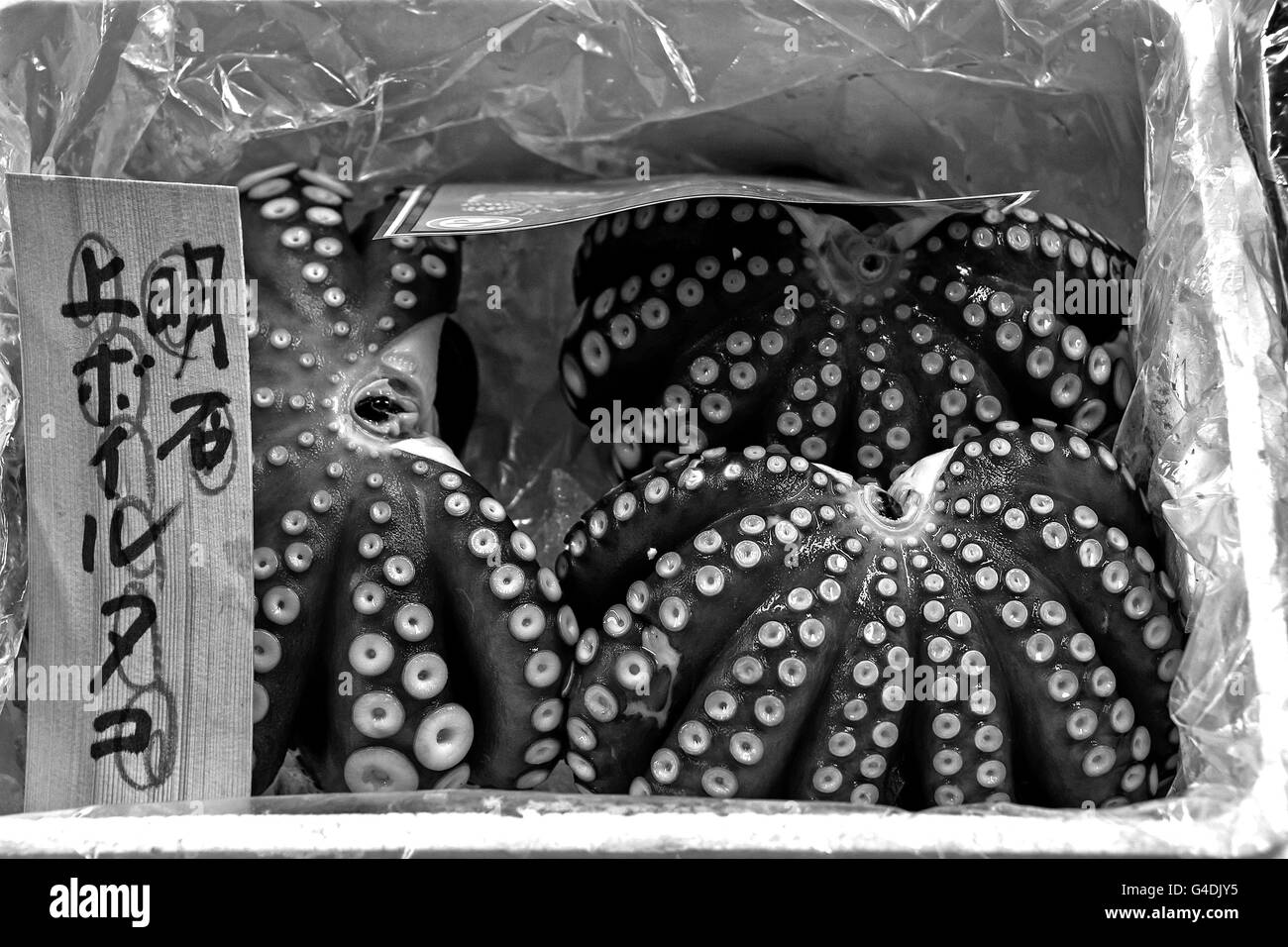 Octopus meal Black and White Stock Photos & Images - Alamy