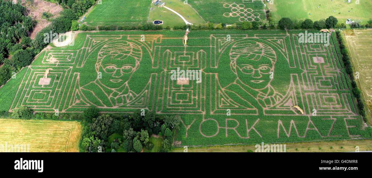 An aerial view of York Maze, the largest maize maze in Europe. This
