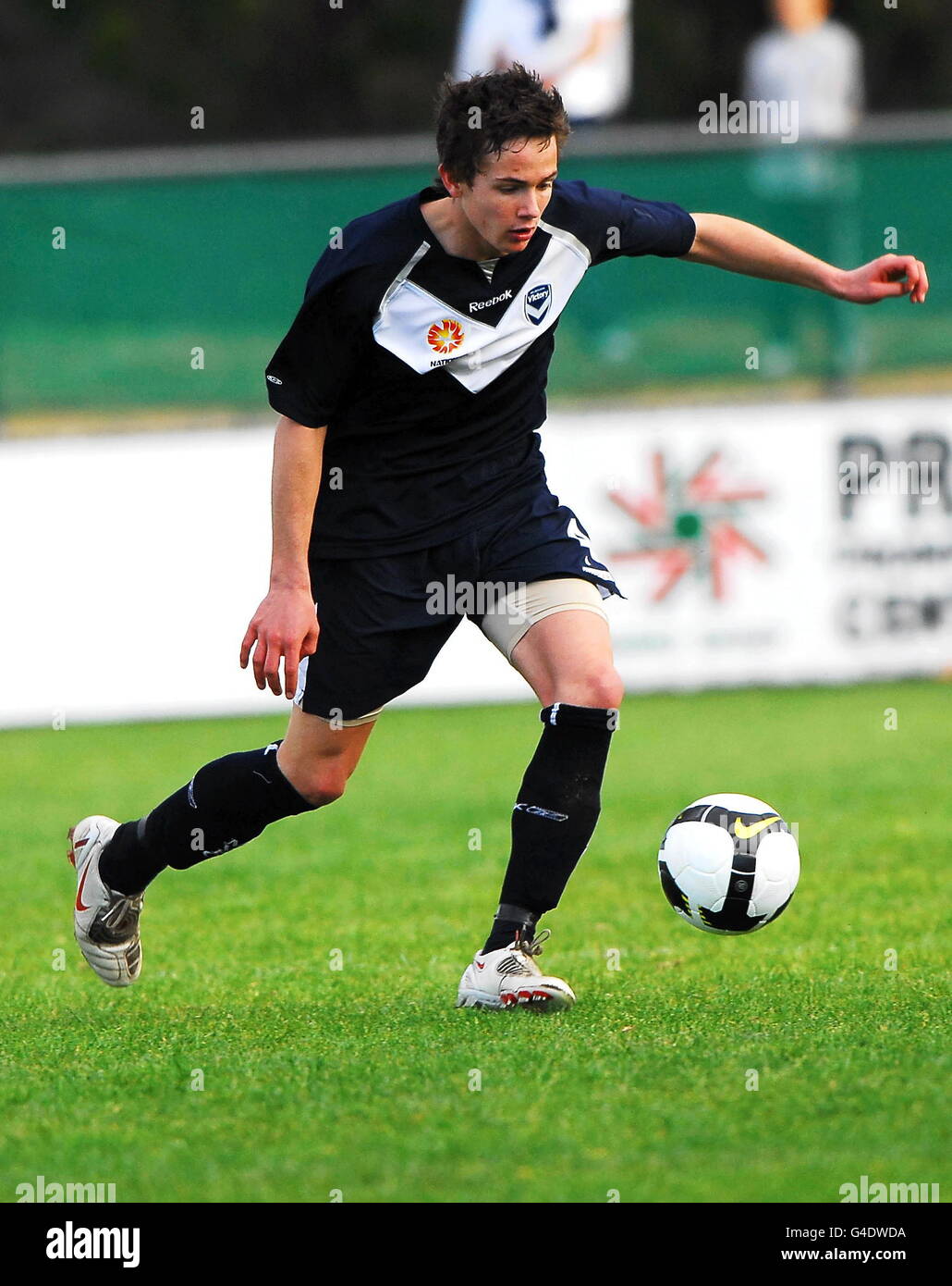 Melbourne victorys mathew foschini hires stock