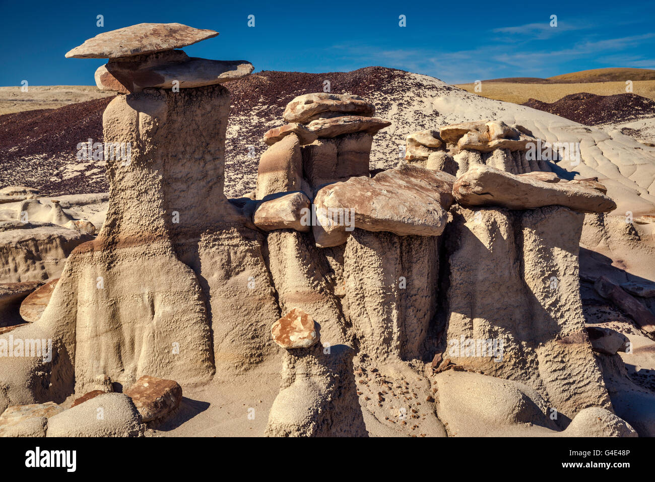 Brown Hoodoos area formations, Bisti De-Na-Zin Wilderness, New Mexico ...