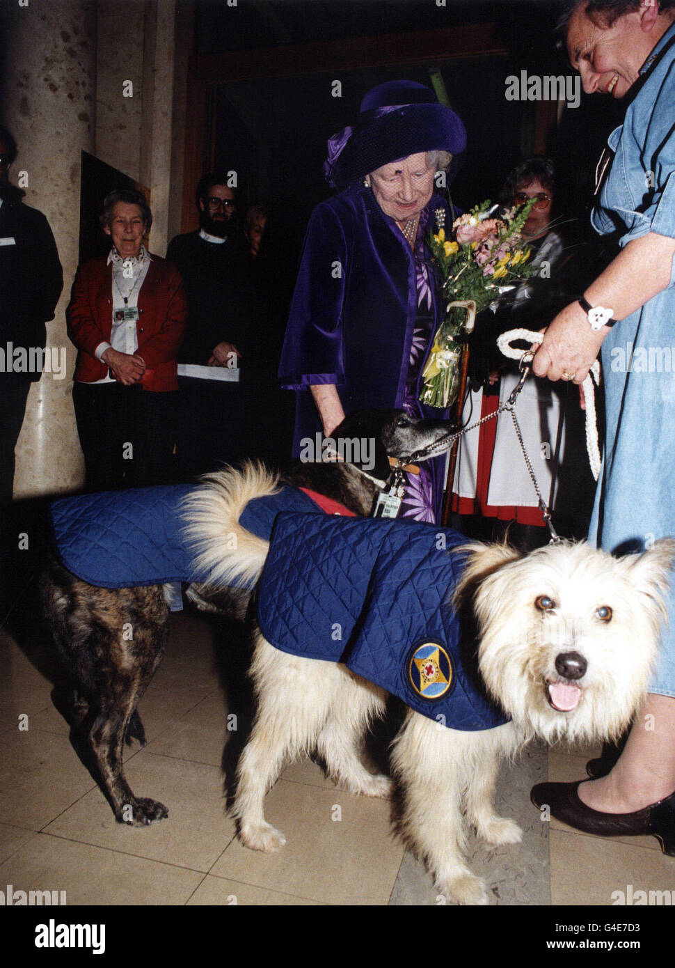 THE QUEEN MOTHER MEETS IS INTRODUCED TO TWO CANINE RESIDENTS OF THE STAR AND GARTER HOME FOR EX-SERVICEMEN AND WOMEN IN RICHMOND, SURREY. THE QUEEN MOTHER OFFICIALLY OPENED THE BLACK WATCH SUITE DURING HER VISIT TO THE HOME. Stock Photo