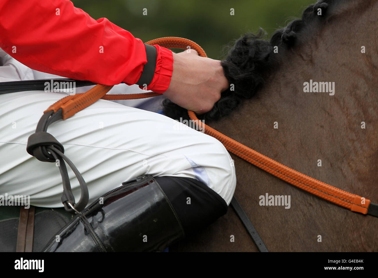 Detailed view of a jockey's holding reins in his hands Stock Photo Alamy