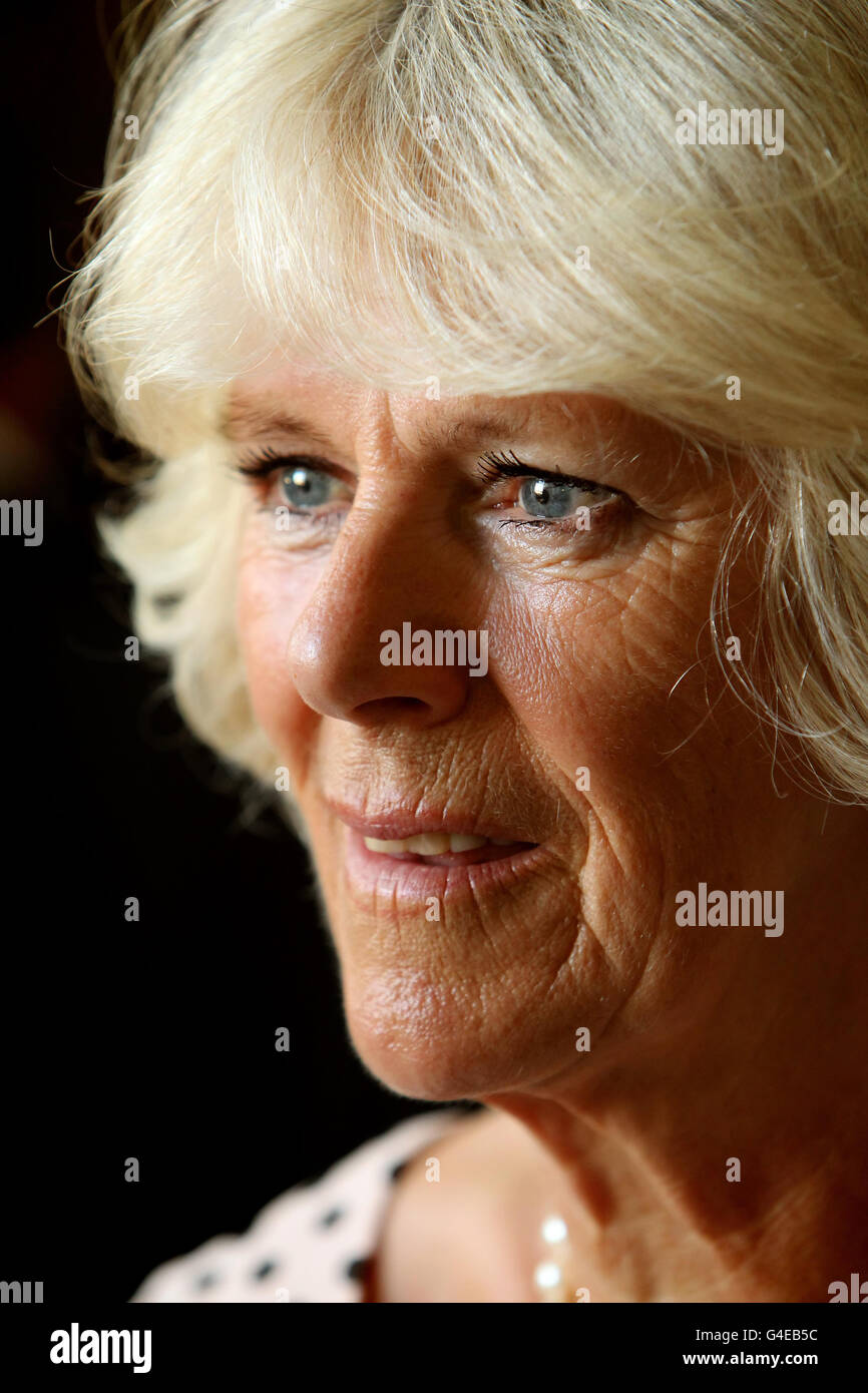 The Duchess of Cornwall attends a reception for competitors, owners and sponsors at the first day of the Greenwich Park Eventing Invitational CIC2, at the Queen's House, in Greenwich, London. Stock Photo