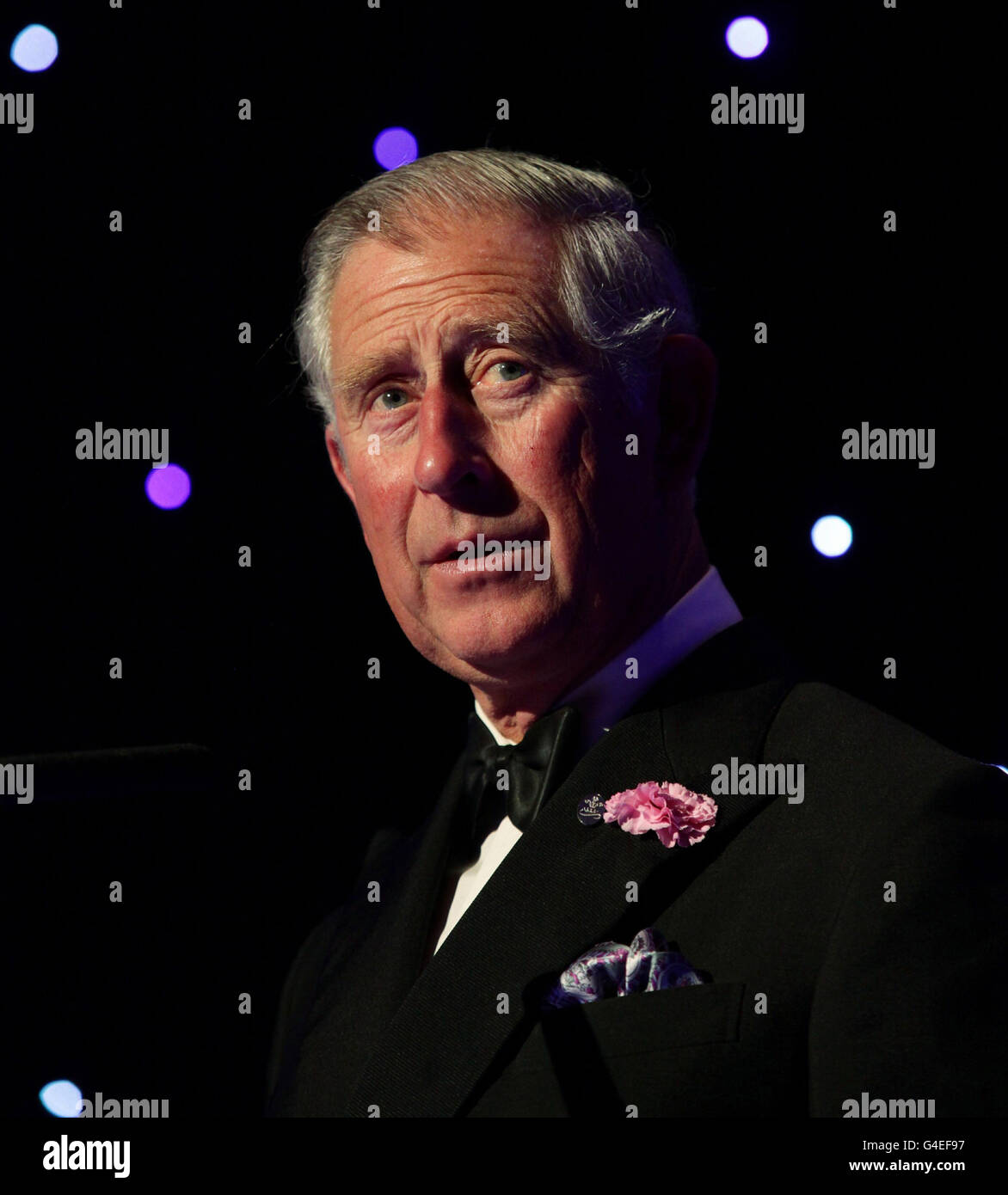 Prince of Wales charity dinner Stock Photo Alamy