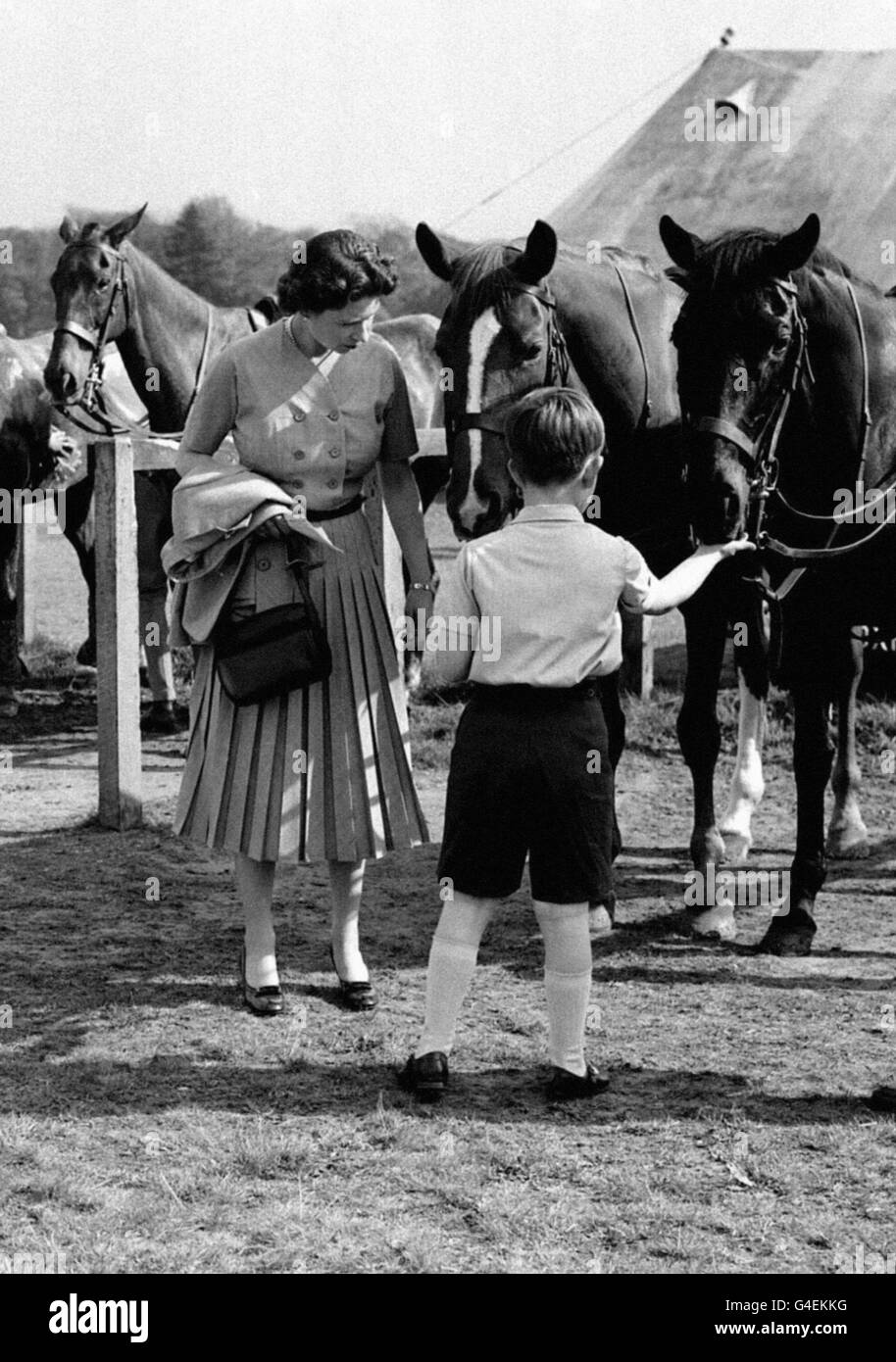 The Prince of Wales watched by his mother Queen Elizabeth II, feeds one of the ponies during a break in the polo tournament, in which the Duke of Edinburgh was playing at Smith's lawn in Windsor Great Park. Stock Photo
