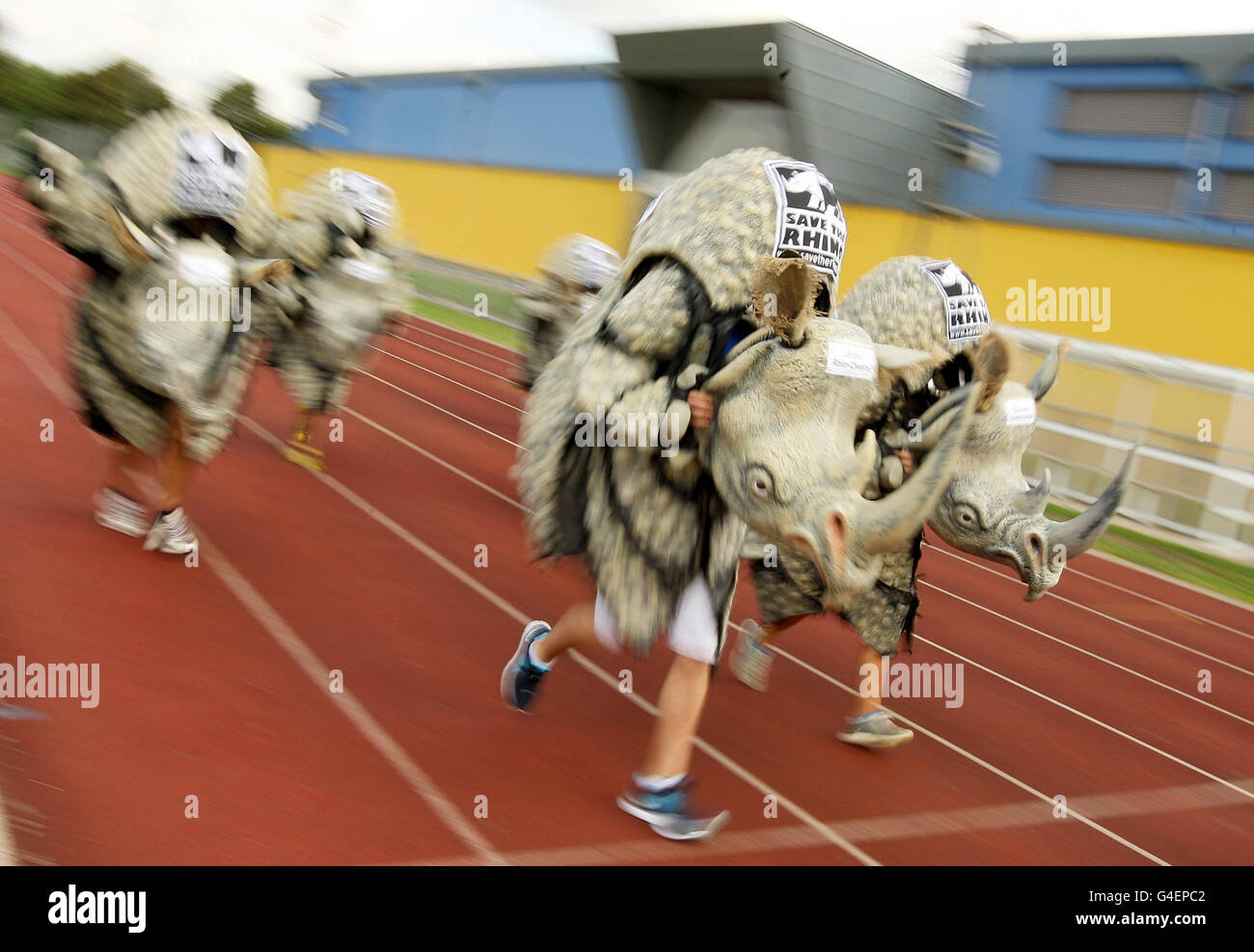 Runners dressed in rhino costumes take part in a 100 metre sprint, organised by Save the Rhino International, at Mile End Park Stadium, east London, to highlight the work of the charity, which conserves populations of critically endangered rhinos in Africa and Asia. Stock Photo