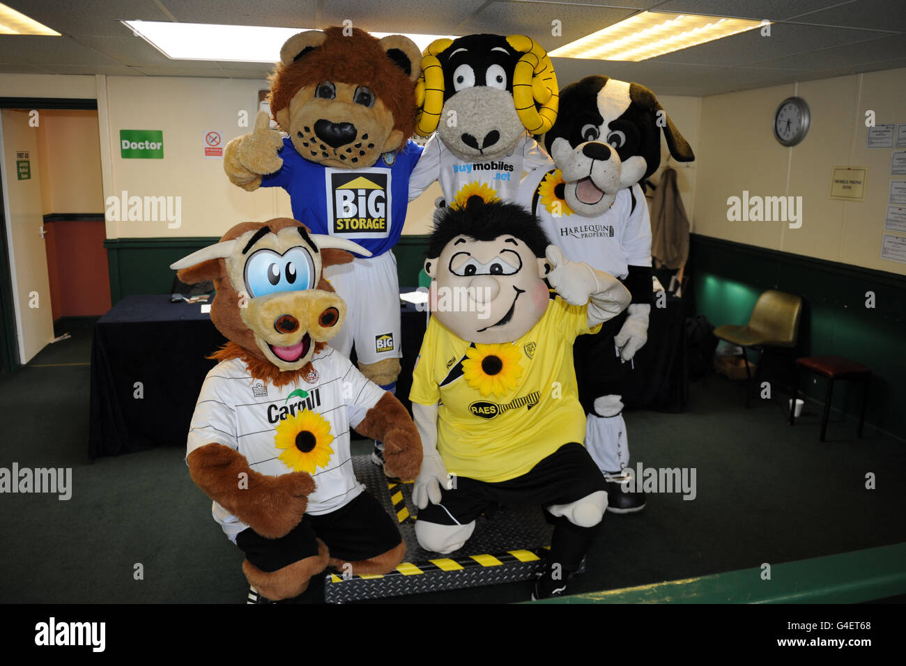 274 Roary Mascot Stock Photos, High-Res Pictures, and Images - Getty Images