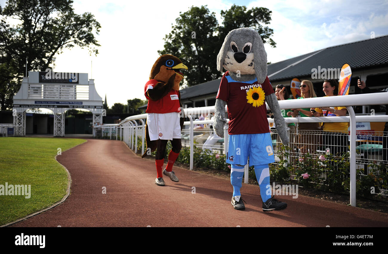 Parade ring uttoxeter racecourse hires stock photography and images