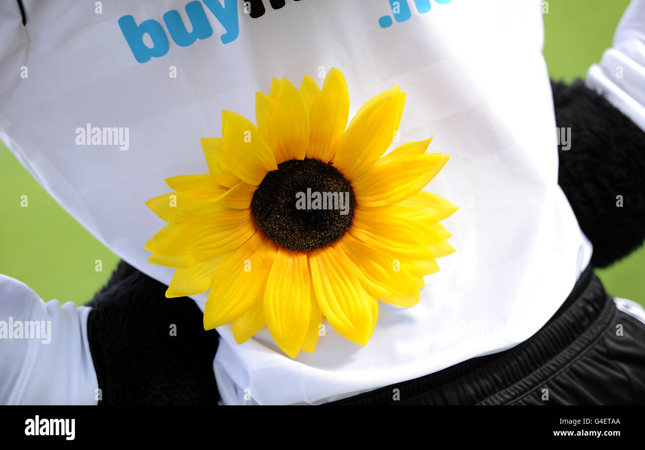 Horse Racing - Uttoxeter Nights - Uttoxeter Racecourse. Detailed view of a large Sunflower badge ont he top of Derby County mascot Rammy the Ram Stock Photo