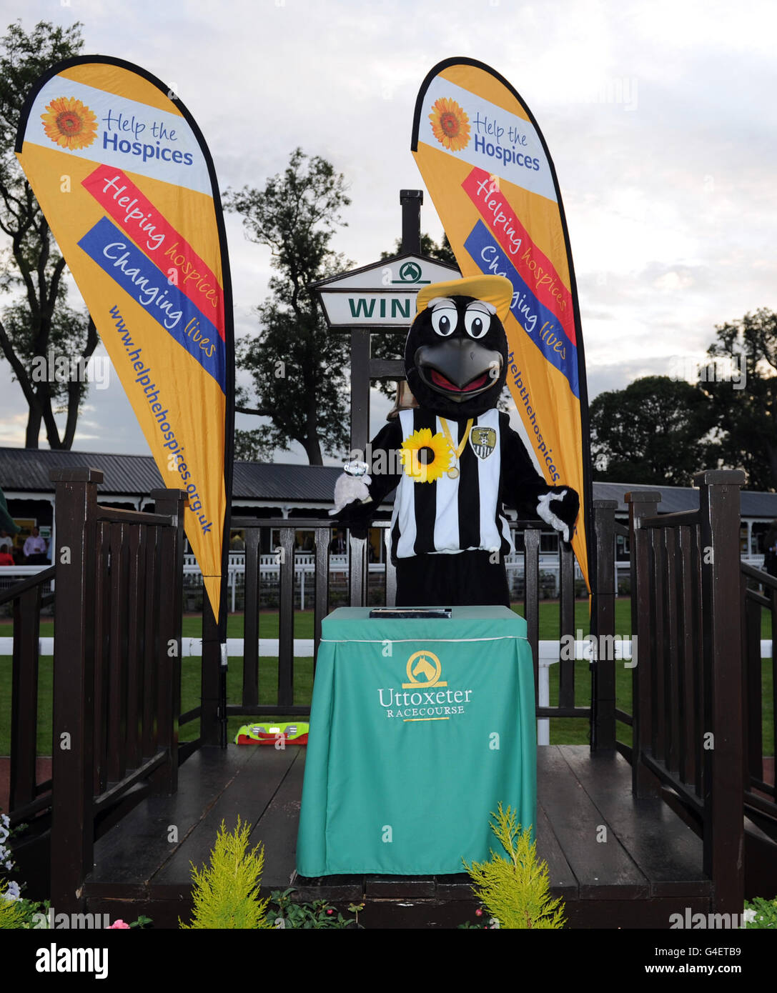 Notts County mascot Mr Magpie celebrates winning the Sunflower Sprint
