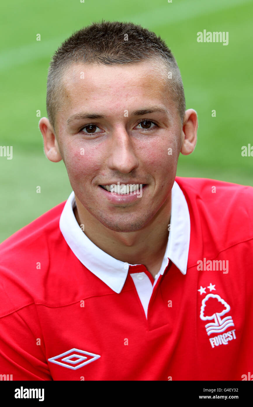 Majewski 2012 forest hi-res stock photography and images - Alamy