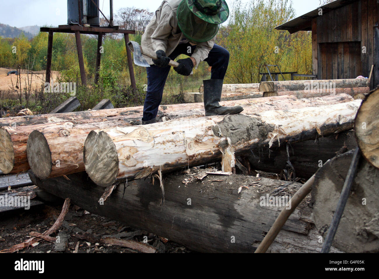 The initial preparation of wood for processing on construction materials Stock Photo