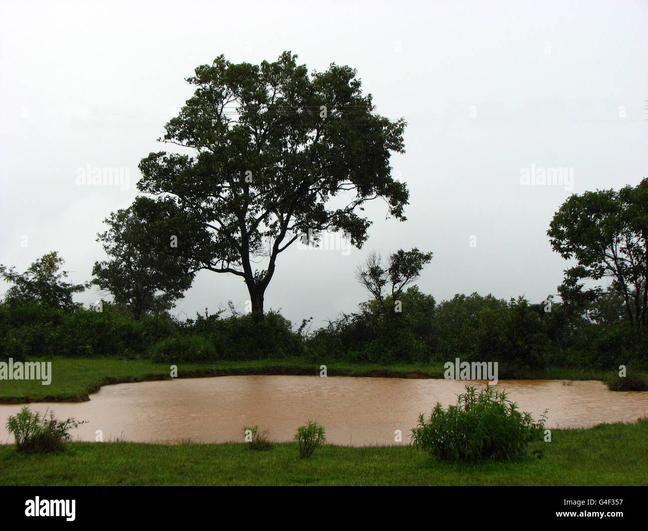 Monsoon Pond Stock Photo