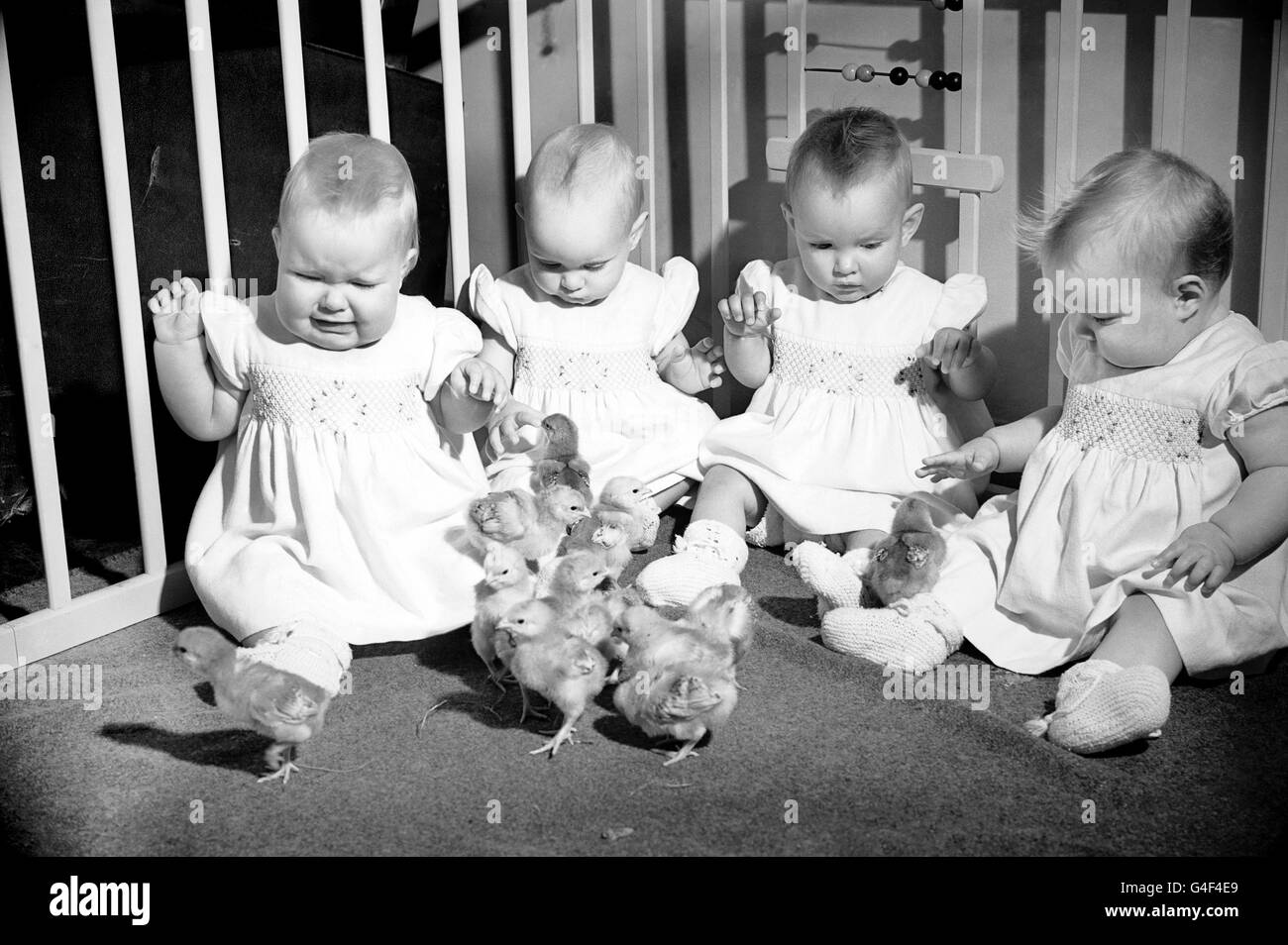 Good quadruplets hires stock photography and images Alamy