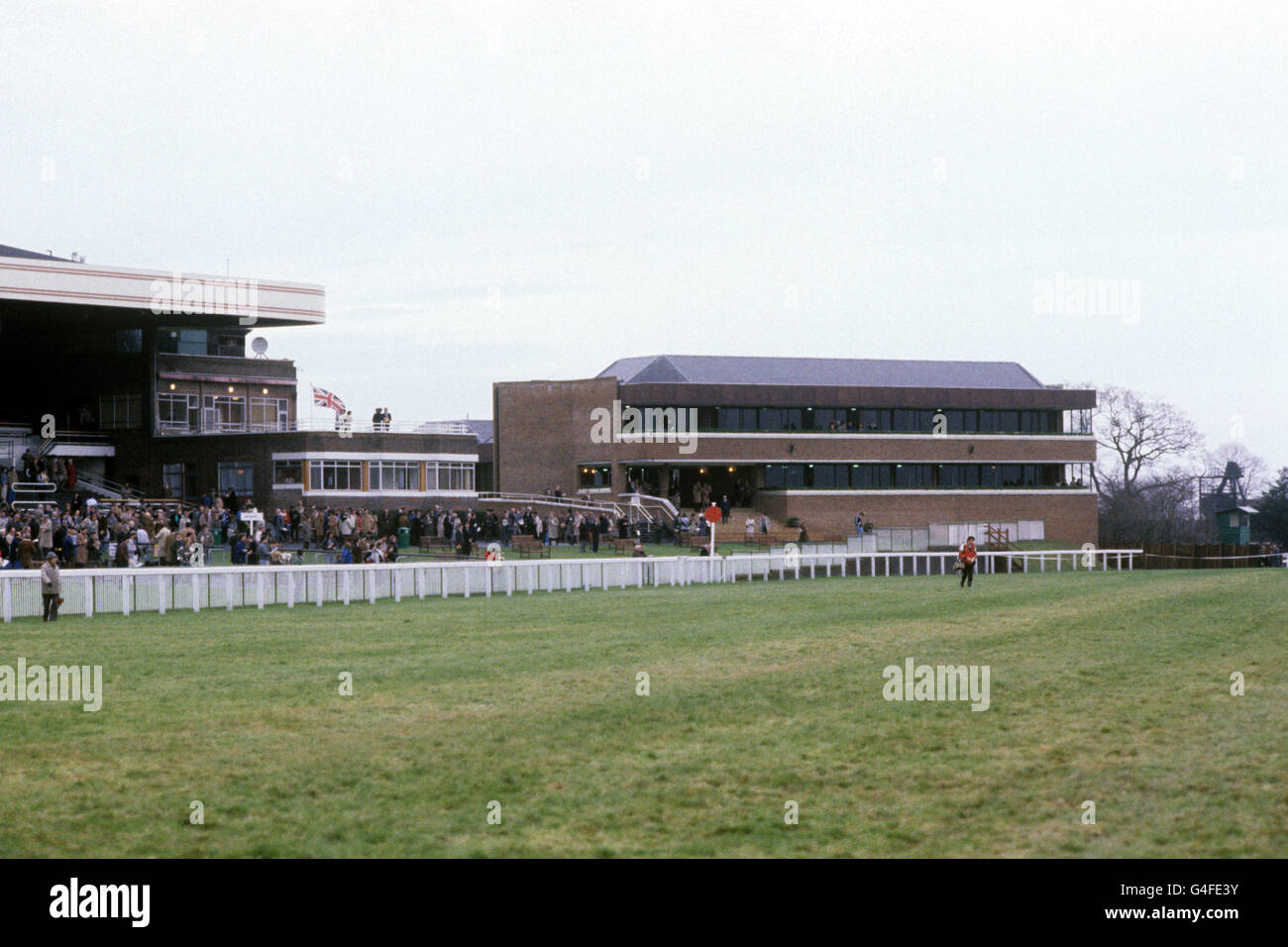 Horse Racing January 2025 Riane Jacklyn