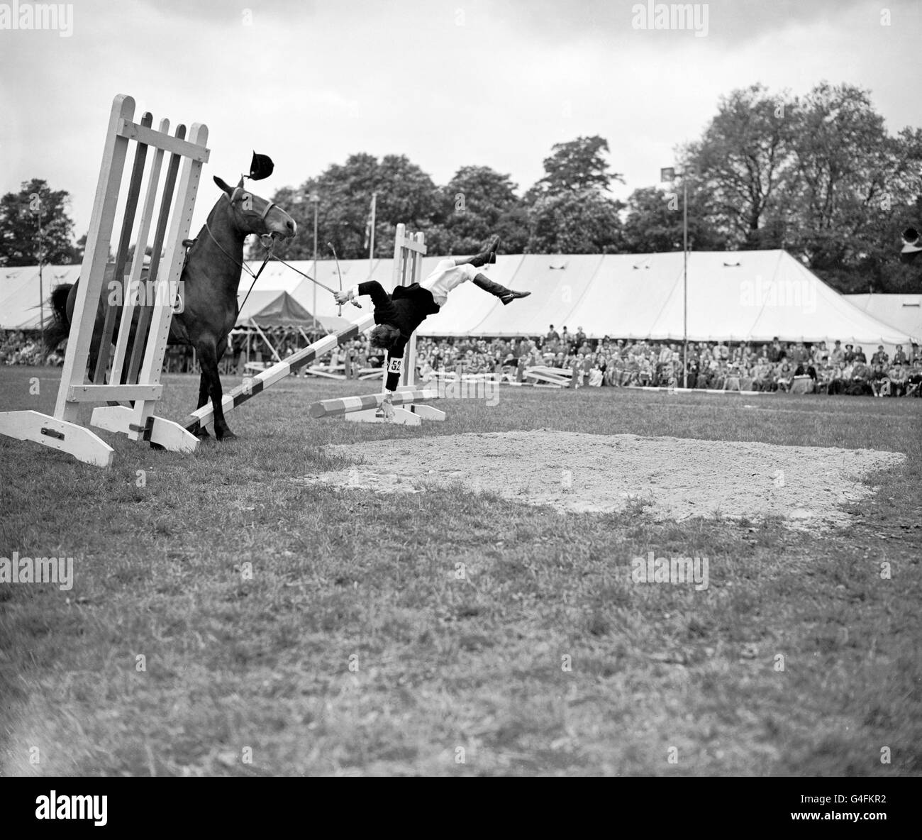 Rider D. Kent falls from his horse, Sugar Bush, during the Six Bars Jumping Competition at the Royal Windsor Horse Show Stock Photo