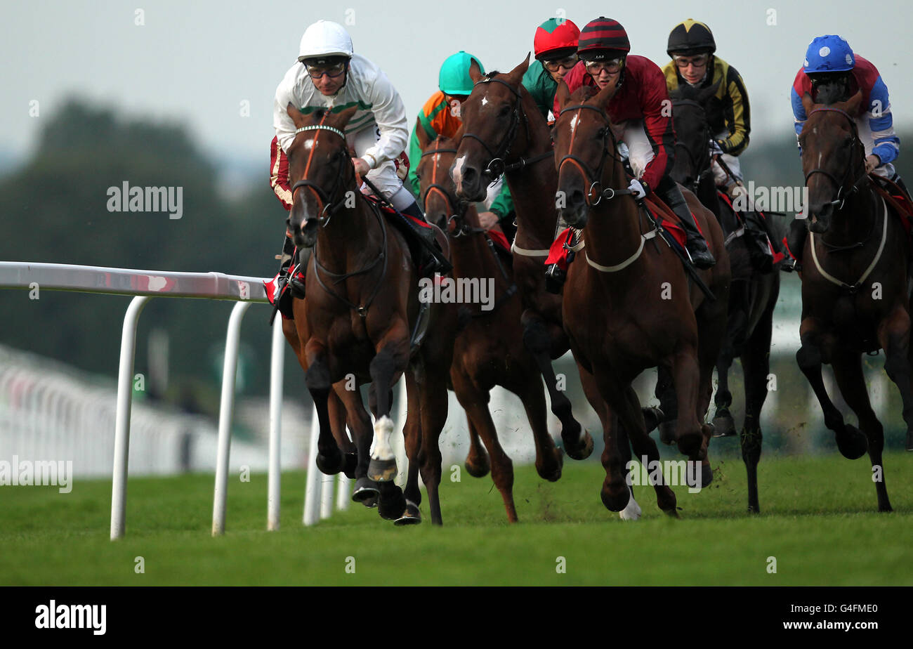 The field take the first bend during the Brothers Pear Cider Handicap