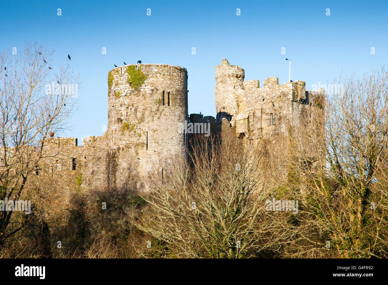 Carew Castle, Pembrokeshire, Wales, UK Stock Photo - Alamy