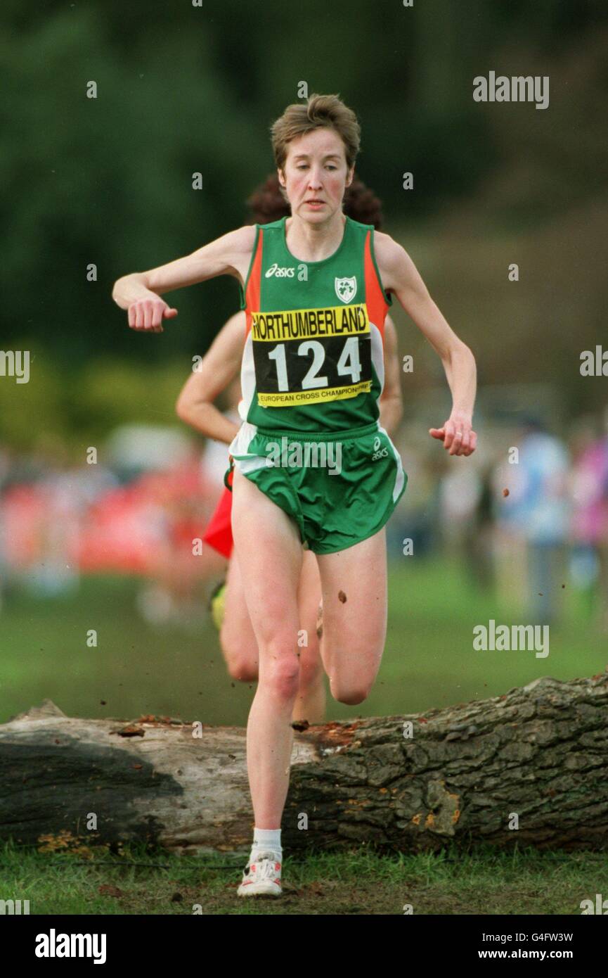 EUROPEAN CROSSCOUNTRY CHAMPIONSHIPS Stock Photo Alamy