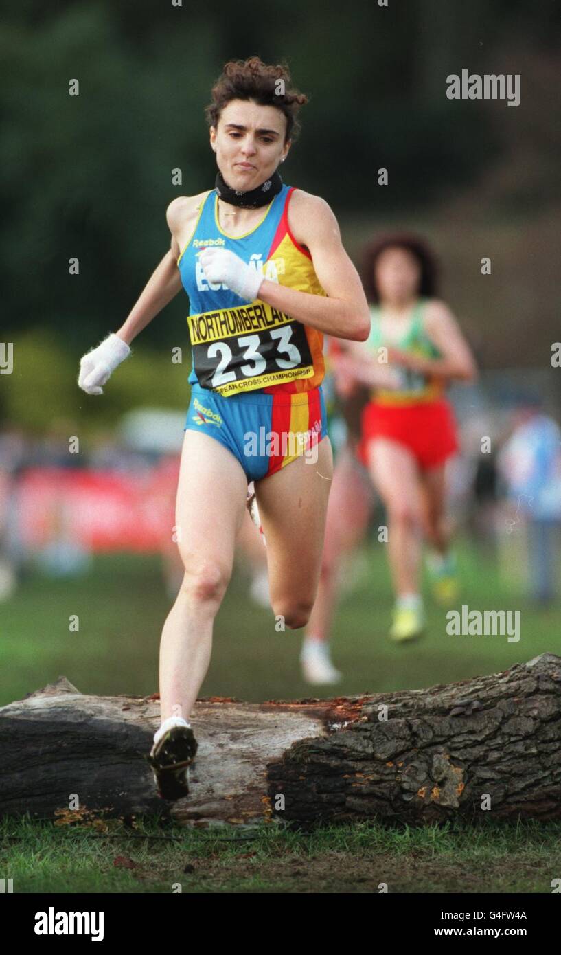 EUROPEAN CROSSCOUNTRY CHAMPIONSHIPS Stock Photo Alamy