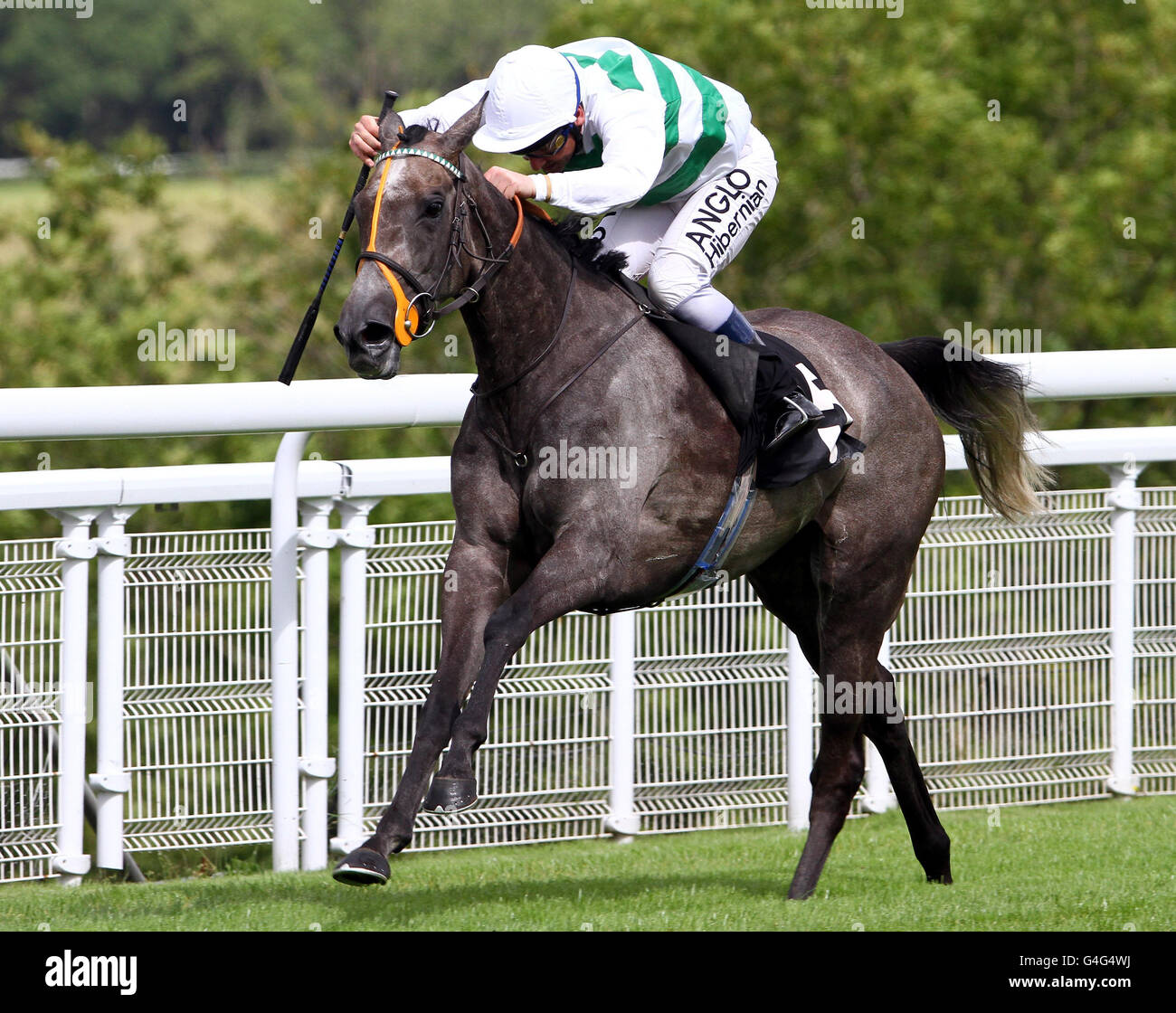Racing goodwood full length riding mangsm hires stock photography and