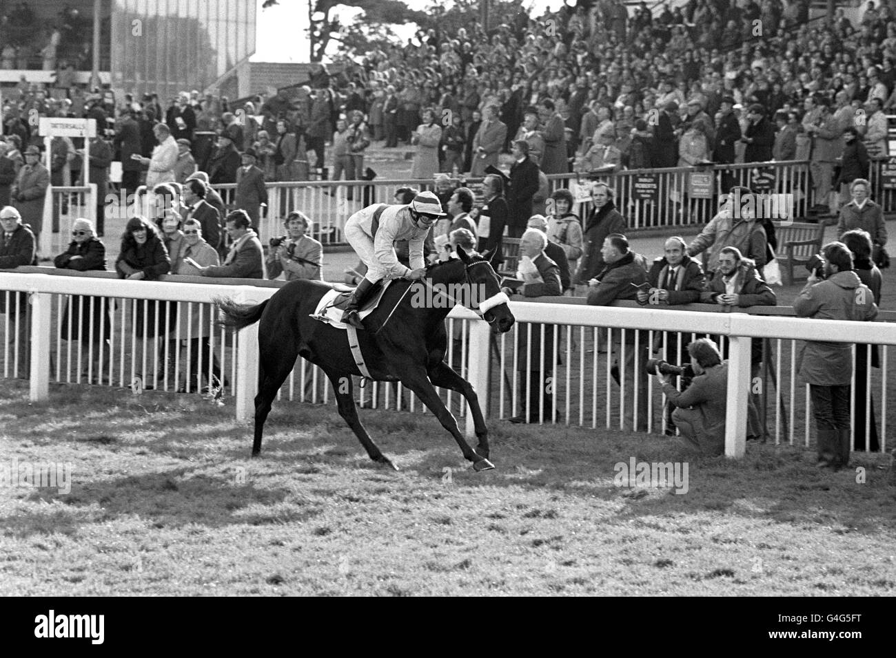 Horse Racing - The Chivas Regal Trophy - Kempton Park Racecourse. Princes Gate, ridden by Walter Swinburn, wins Stock Photo