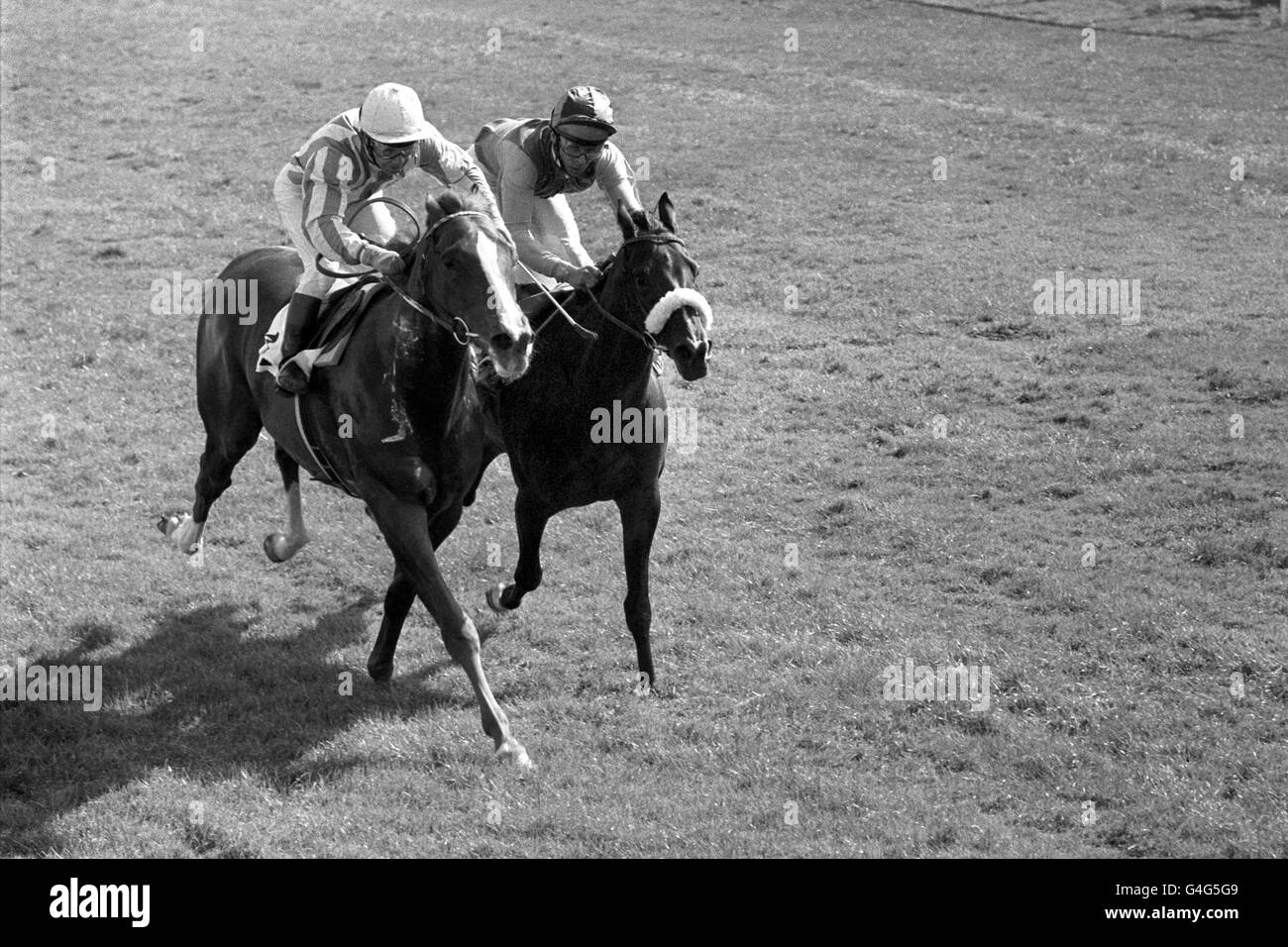 Redundant, ridden by Geoff Lewis (left), comes in first to win the September Handicap. Less than a pace behind is runner up Relkalim, ridden by Brian Taylor. The meeting had been transferred to Kempton from Sandown Stock Photo