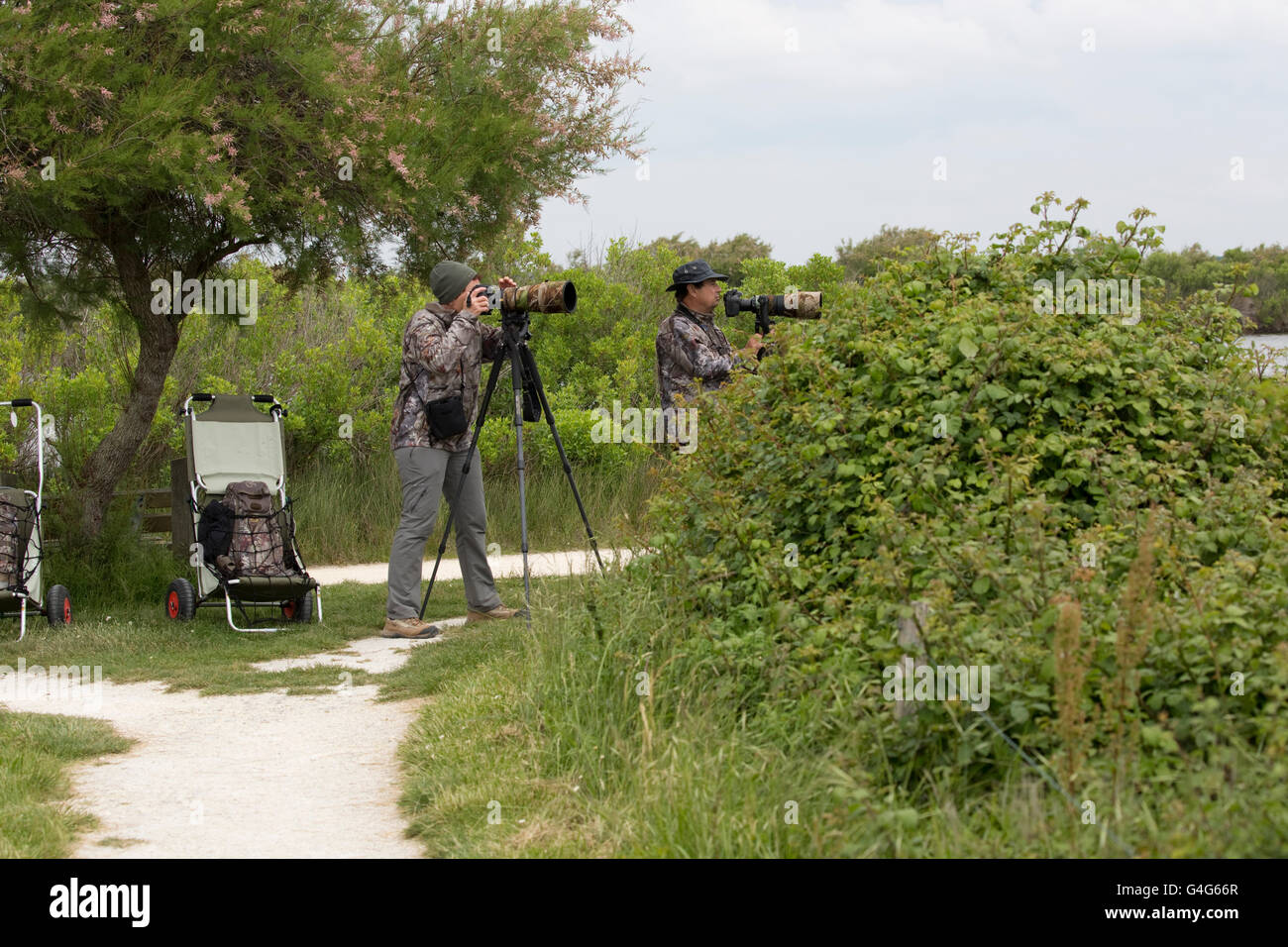 Two wildlife camouflaged photographers with camera equipment Réserve