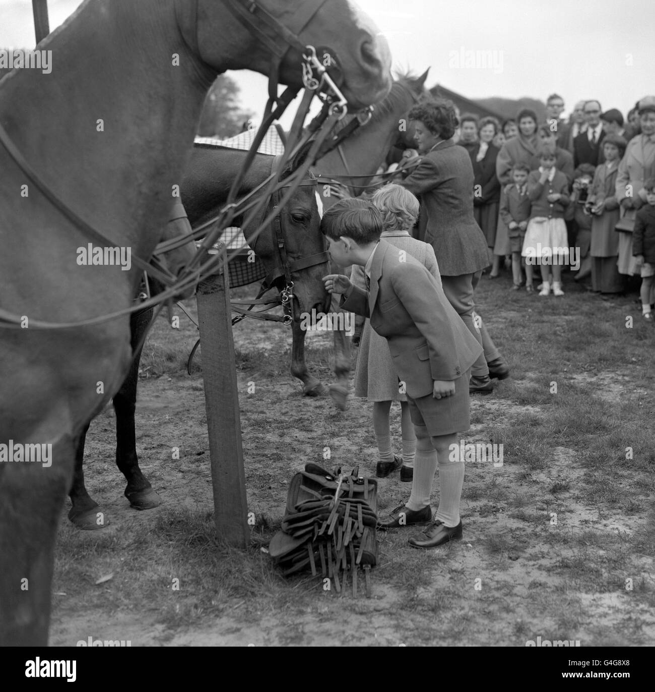 The Prince of Wales shares a tender kiss with one of the ponies being used by his father, the Duke of Edinburgh, in a polo match at the start of the season at Windsor Great Park. Stock Photo