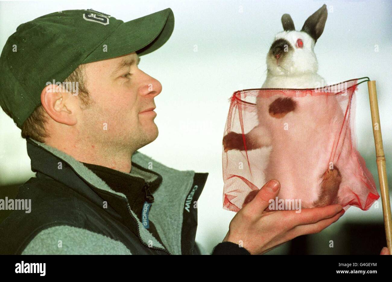 Stuart Sommervill, branch manager at Beaks n Squeaks in Largs, Ayrshire, Tuesday January 5, 1998 with one of the rabbits that he rescued after donning a lifejacket to swim into his shop when three feet of water flooded the Scottish town. But once inside the shop, the force of the water made it impossible for him to re-open the door and he was trapped with the animals for three hours until flood waters subsided. He used plastic sweet containers to make improvised liferafts for every animal. See PA story WEATHER Wind Pets. PA photo: Dave Cheskin. Stock Photo