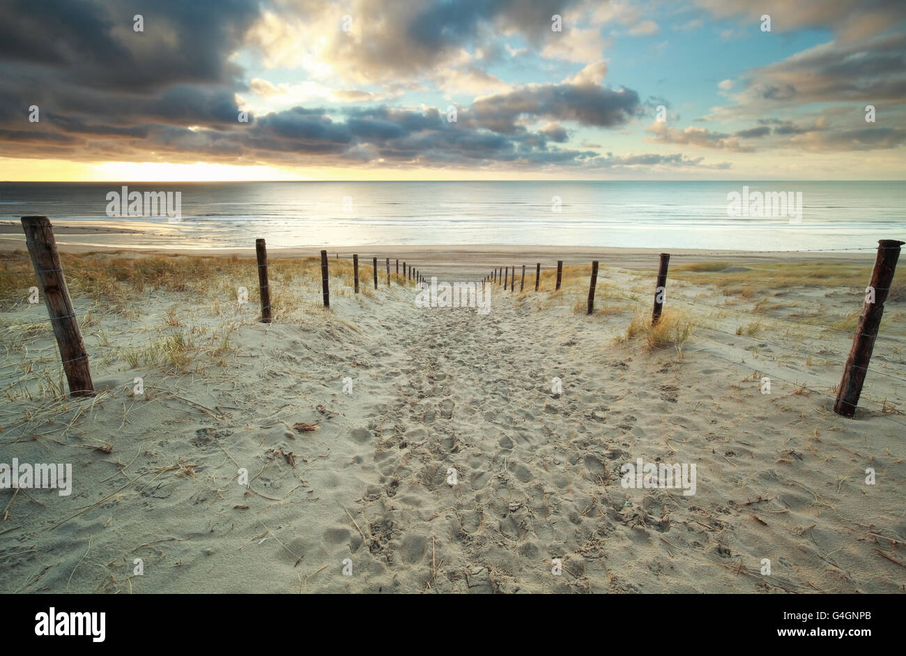 sand path to North sea beach at sundown, Holland Stock Photo - Alamy